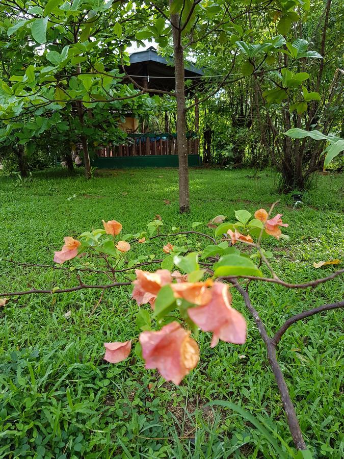 Sigiri Heritage Villa Sigiriya Buitenkant foto